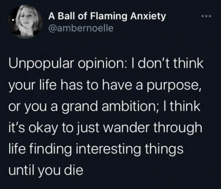 Internet meme - A Ball of Flaming Anxiety Unpopular opinion I don't think your life has to have a purpose, or you a grand ambition; I think it's okay to just wander through life finding interesting things until you die